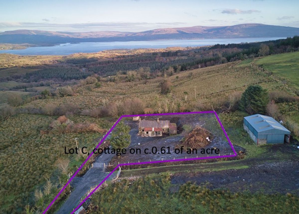 PICTURES The cheapest house in Ireland? Leitrim cottage up for grabs