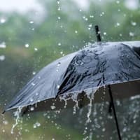 Storm Austen: Limerick residents urged to prepare for what's coming